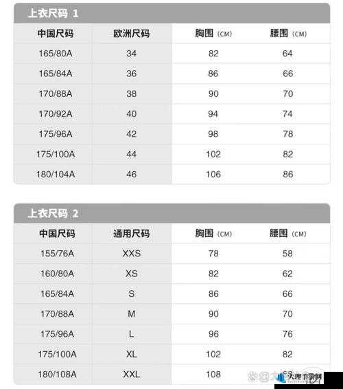 国产尺码与欧洲尺码对照详细解析：一目了然轻松知晓差异